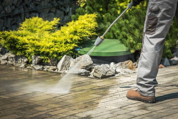 Best Solar Panel Cleaning  in Greenock, PA
